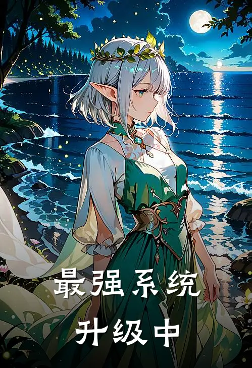 最强系统升级中