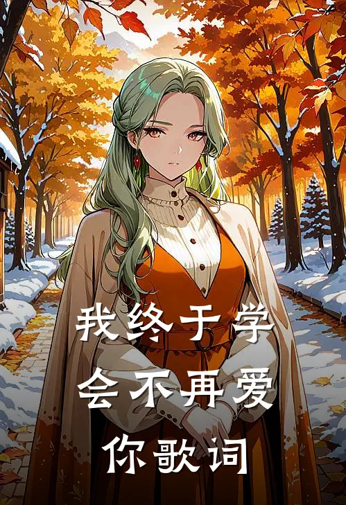 我终于学会不再爱你歌词