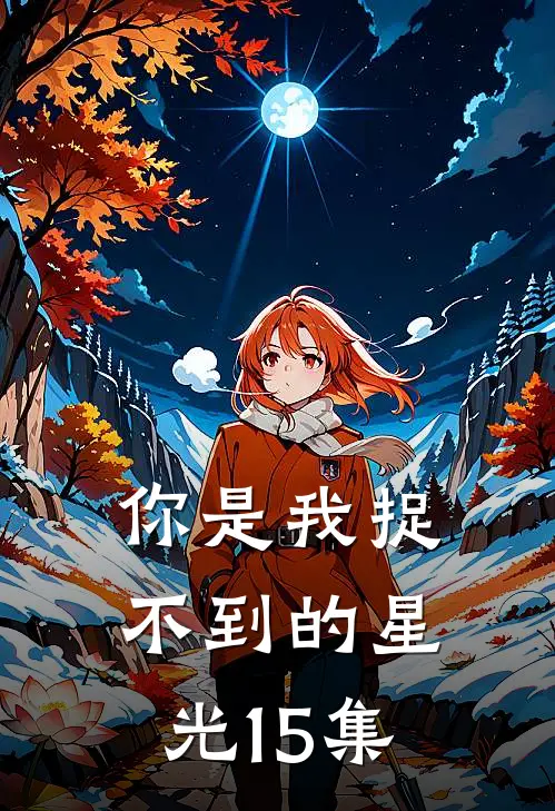你是我捉不到的星光15集