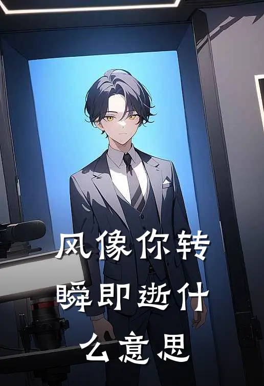 风像你转瞬即逝什么意思