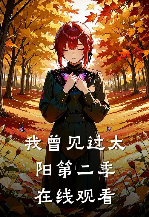 我曾见过太阳第二季在线观看